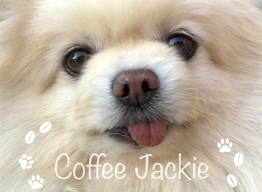 Coffee Jackie